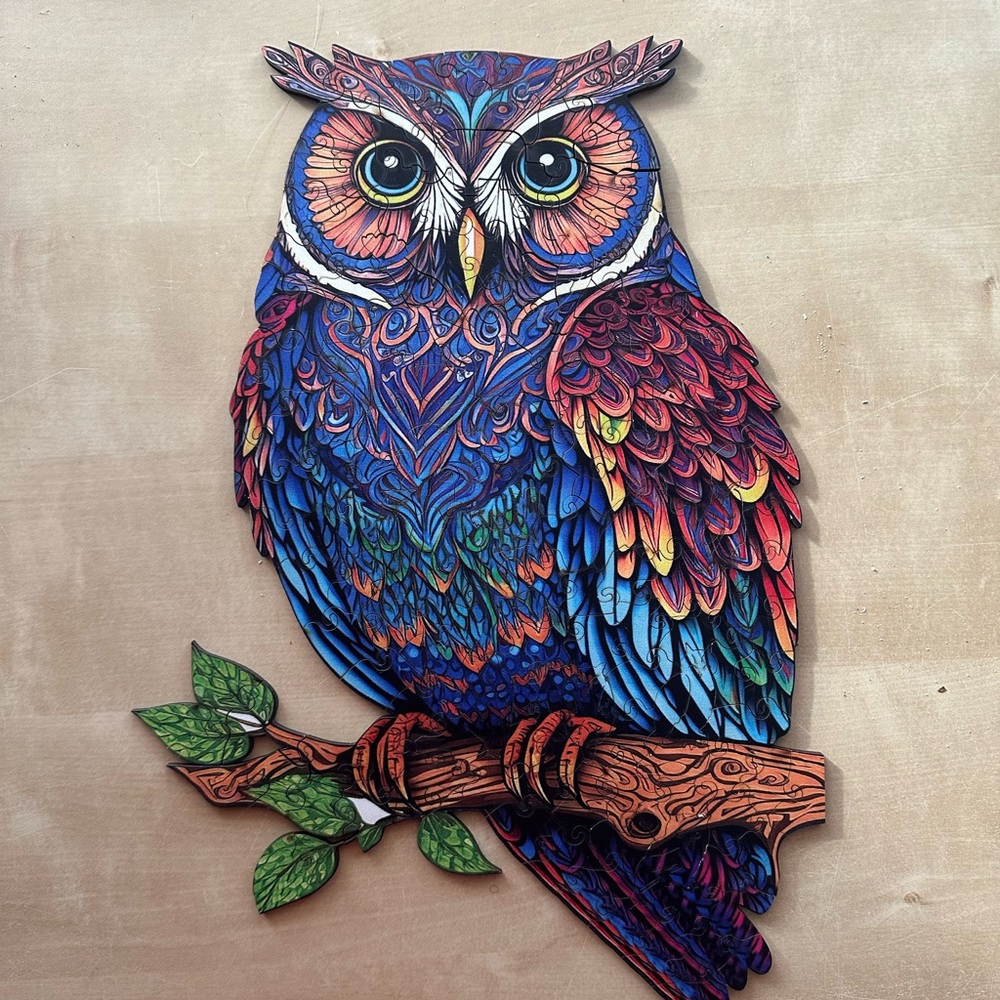 Colorful Owl Wooden Puzzle